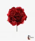 Flamenca Flower Peony - 15 cm