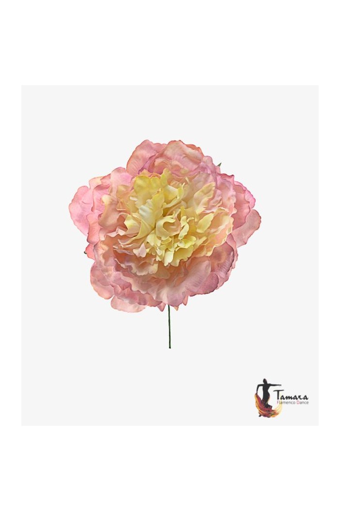  Flowers - Flamenco model Flamenca Flower Peony - 15 cm Dark Make-up