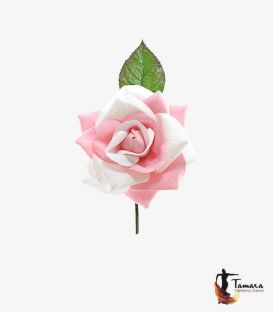 Fleur Flamenca Bicolor - 10 cm