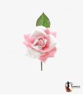 Fleur Flamenca Bicolor - 10 cm