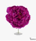 Flamenca Flower Peony - 12 cm