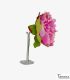 flores de flamenca - - Flor Peonia pequeña