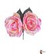 flowers flamenco - - Pair of Roses flamenca
