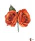 flowers flamenco - - Pair of Roses flamenca