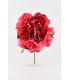 flores de flamenca - - Flor Peonia Sra M ( 10 colores disponibles)