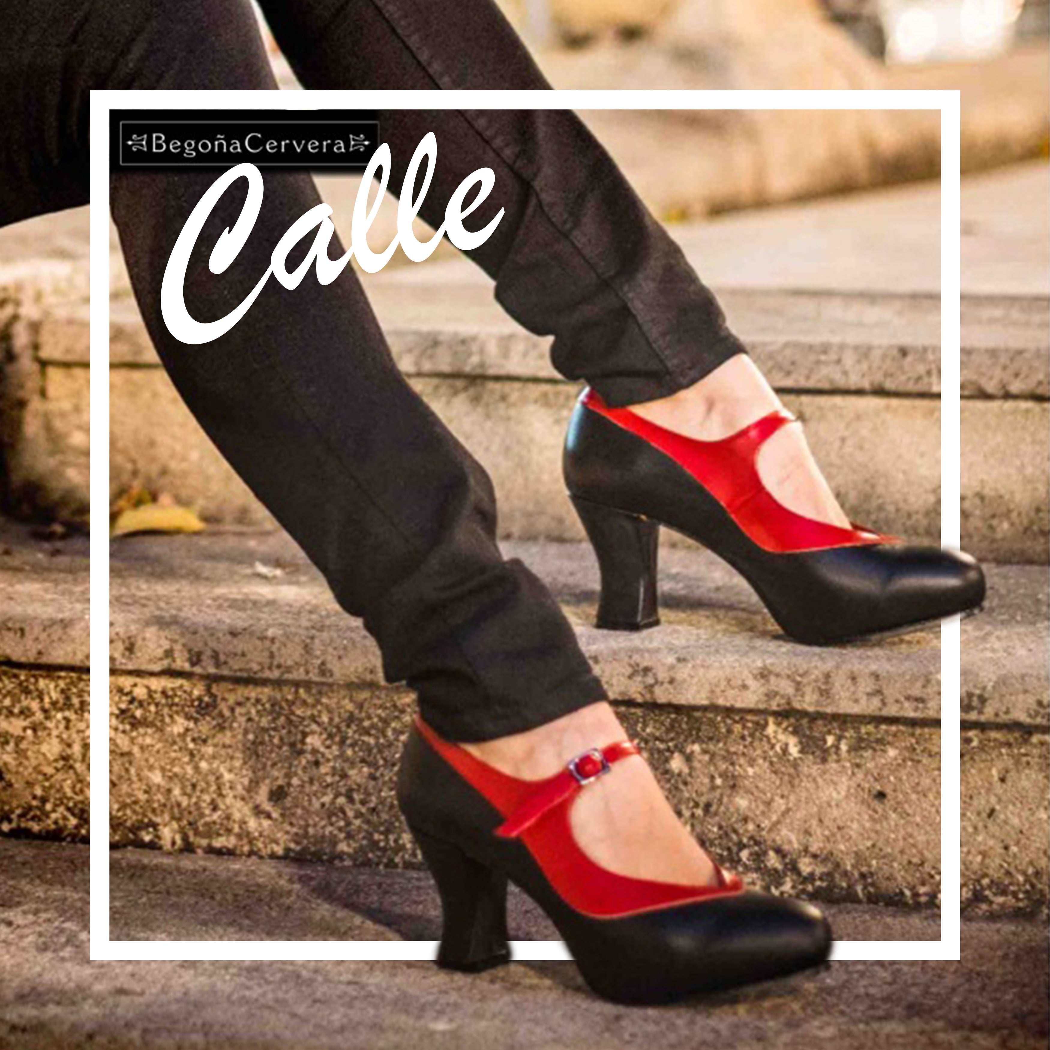 Zapatos de Calle Begoña Cervera