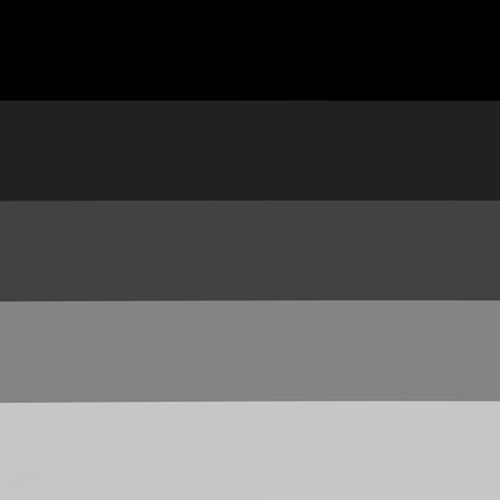 Tonos Negro/Gris/Plata