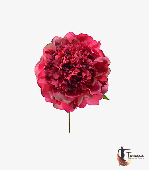 Flor Flamenca Peonía - 15 cm Fuxia