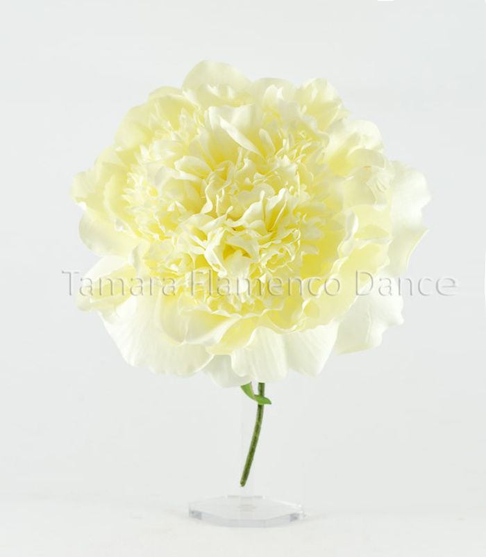 Flor Flamenca Peonía - 15 cm Marfil