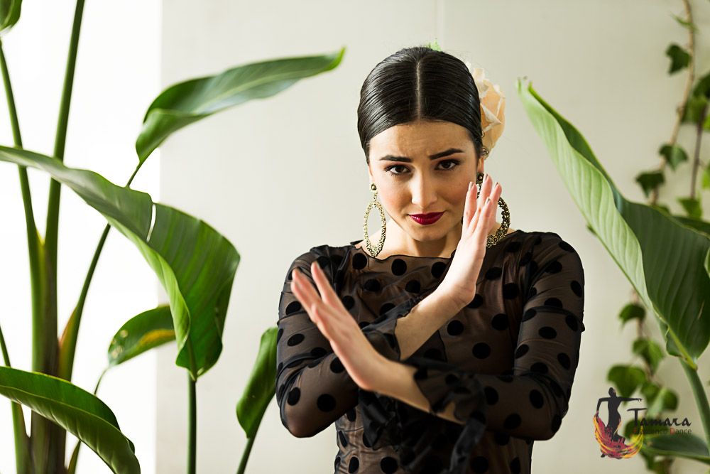 Vestido Olivia - Tul y terciopelo