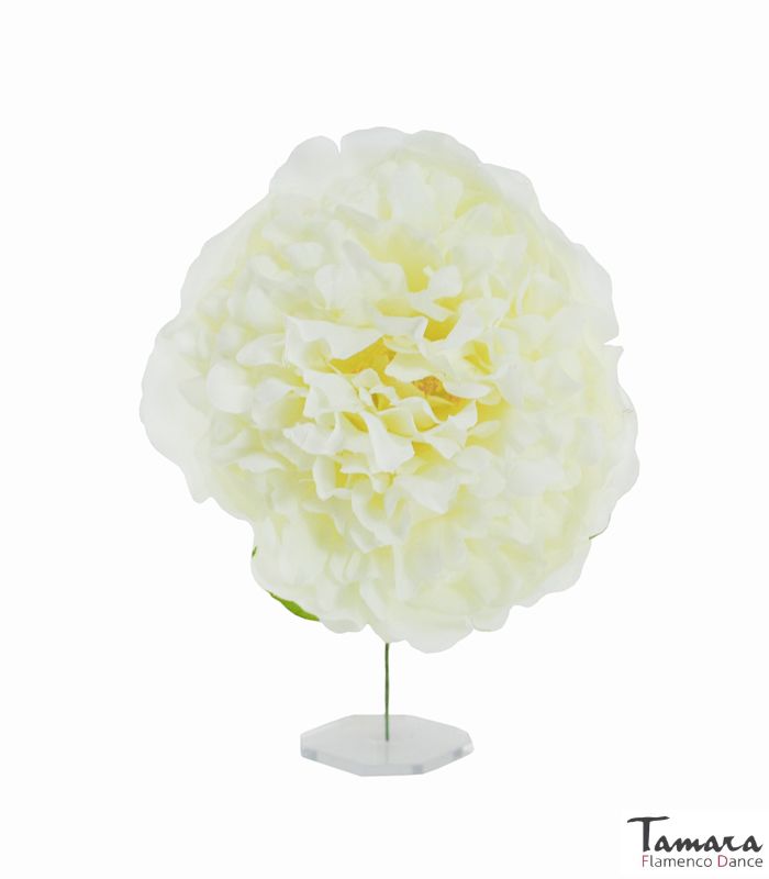 Flor Flamenca Peonia - 12 cm Marfil