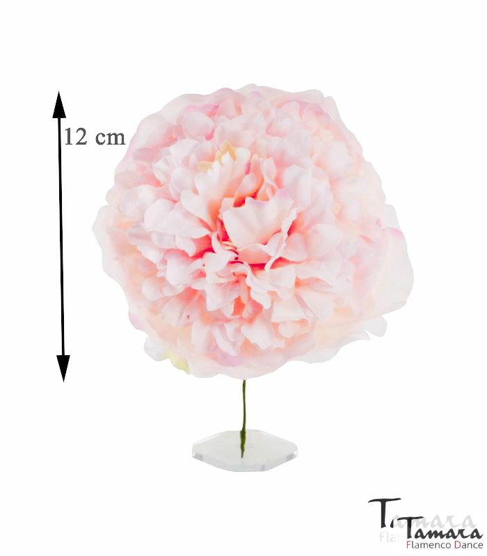 Flor Flamenca Peonia - 12 cm rosa-marfil