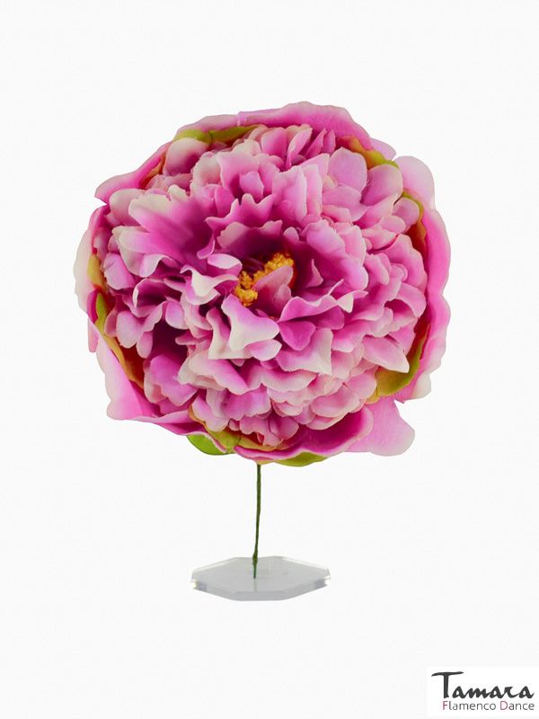 Flor Flamenca Peonia - 12 cm Cardenal rosa