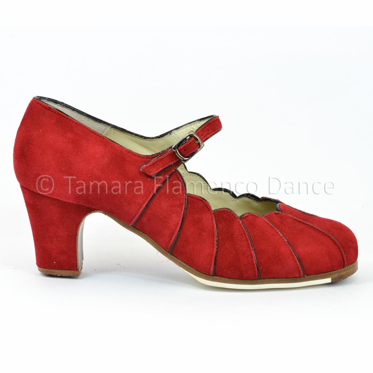 Zapatos de flamenco Acuarela