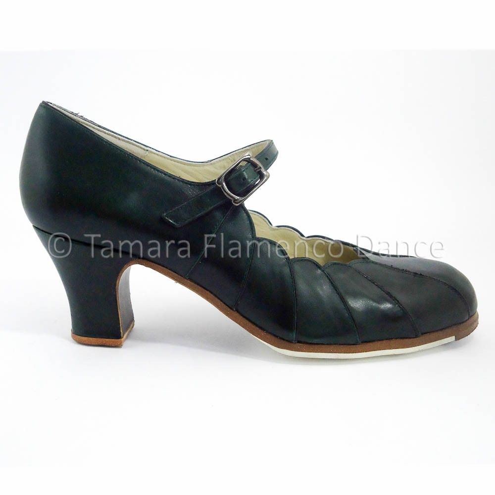 Zapatos de flamenco Acuarela