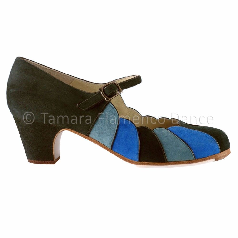 Zapatos de flamenco Acuarela