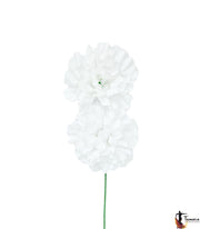 Pareja de Claveles Flamenca Blanco