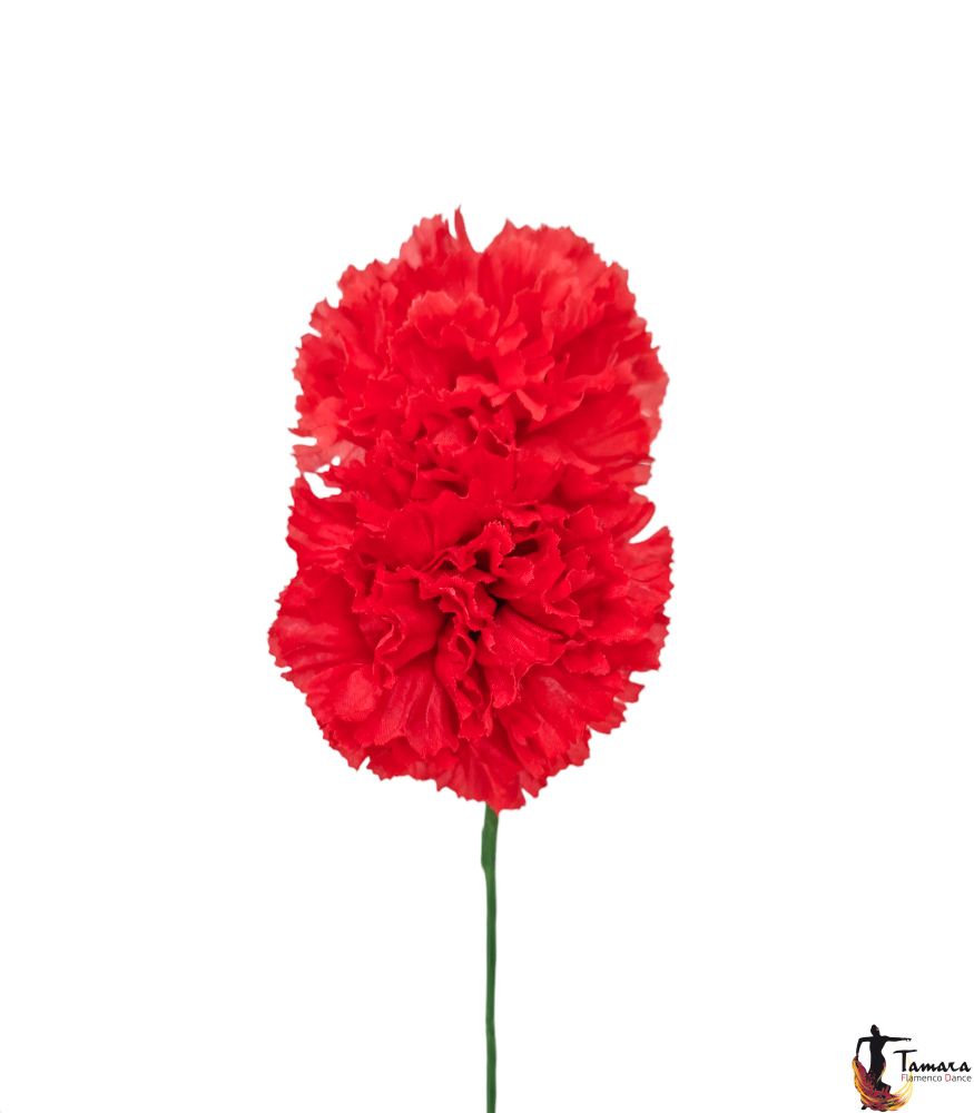 Pareja de Claveles Flamenca Rojo