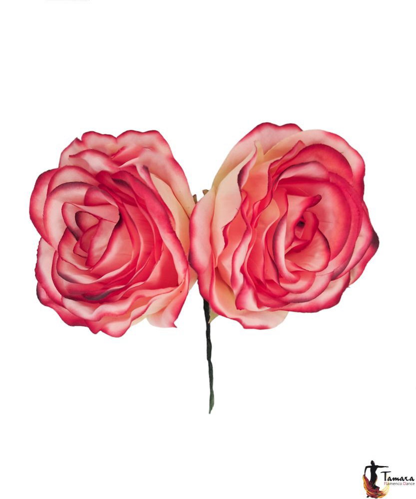 Pareja de Rosas flamencas Coral