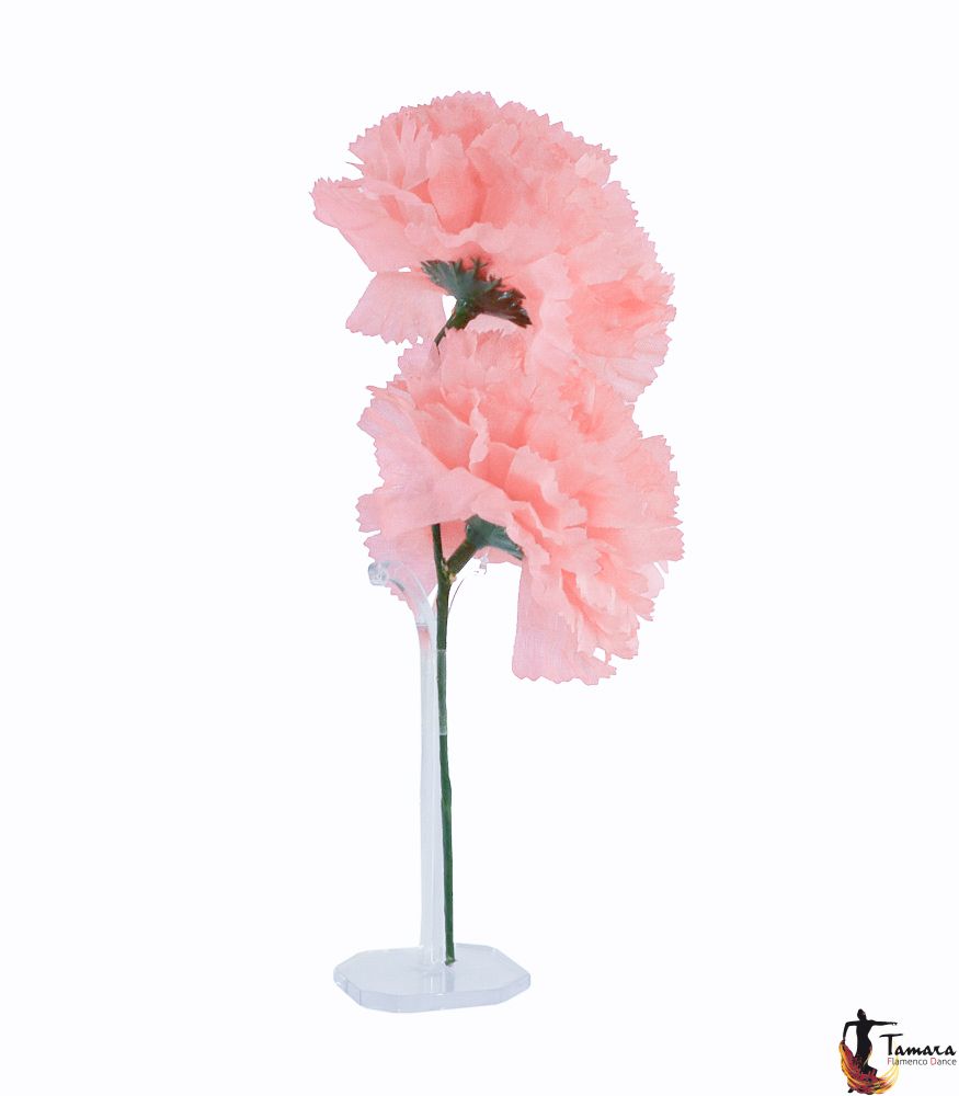 Pareja de Claveles Flamenca Salmon