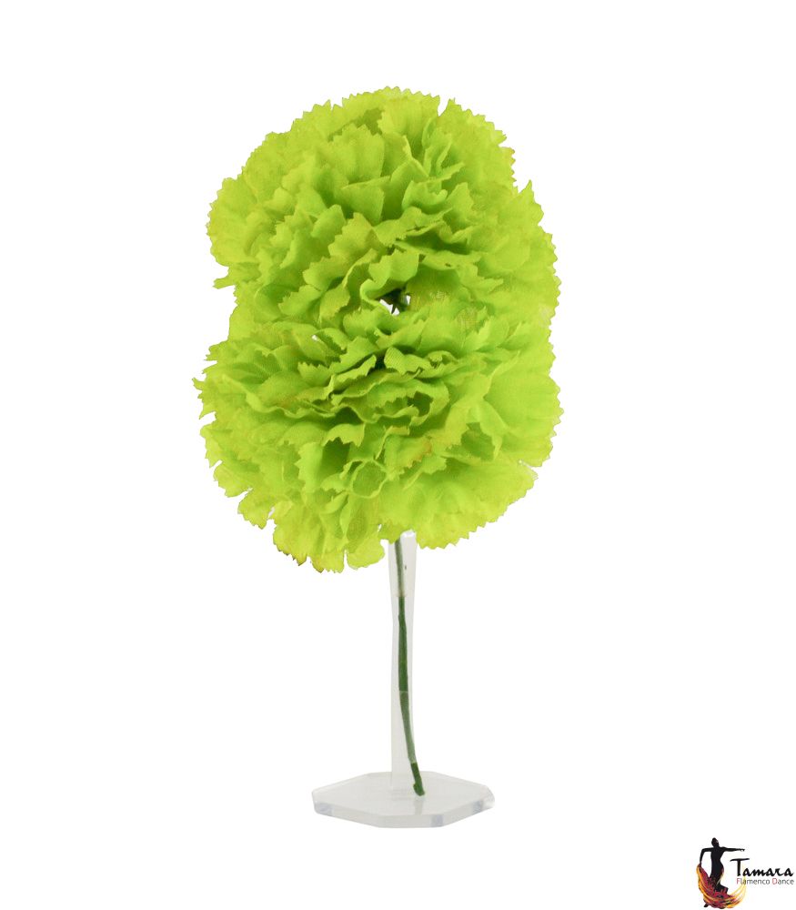 Pareja de Claveles Flamenca Pistacho