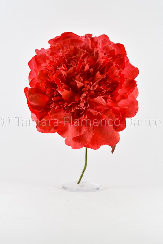 Flor Flamenca Peonía - 15 cm