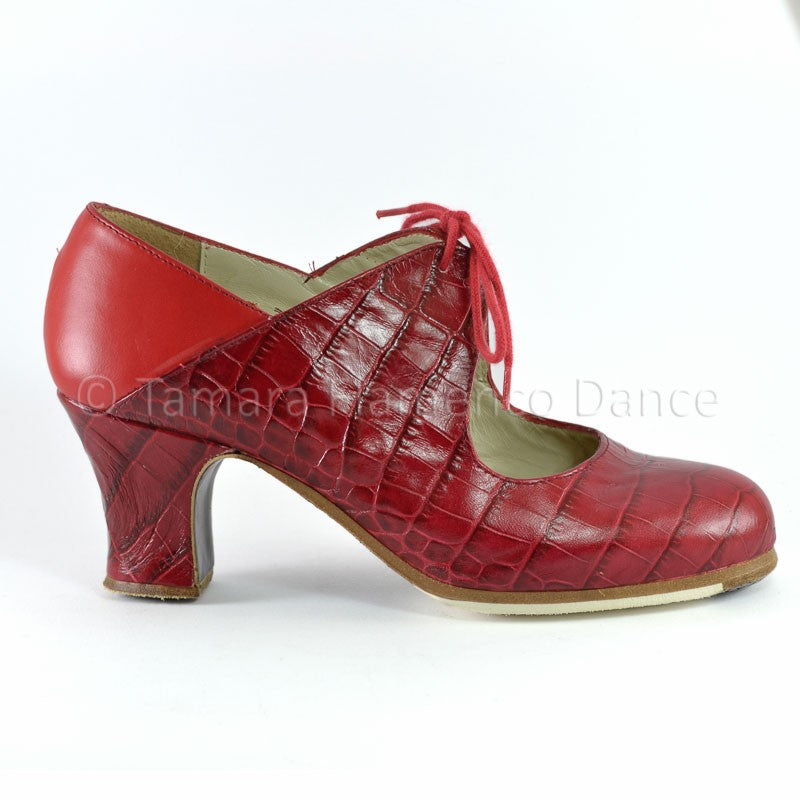 Zapatos de flamenco Arty