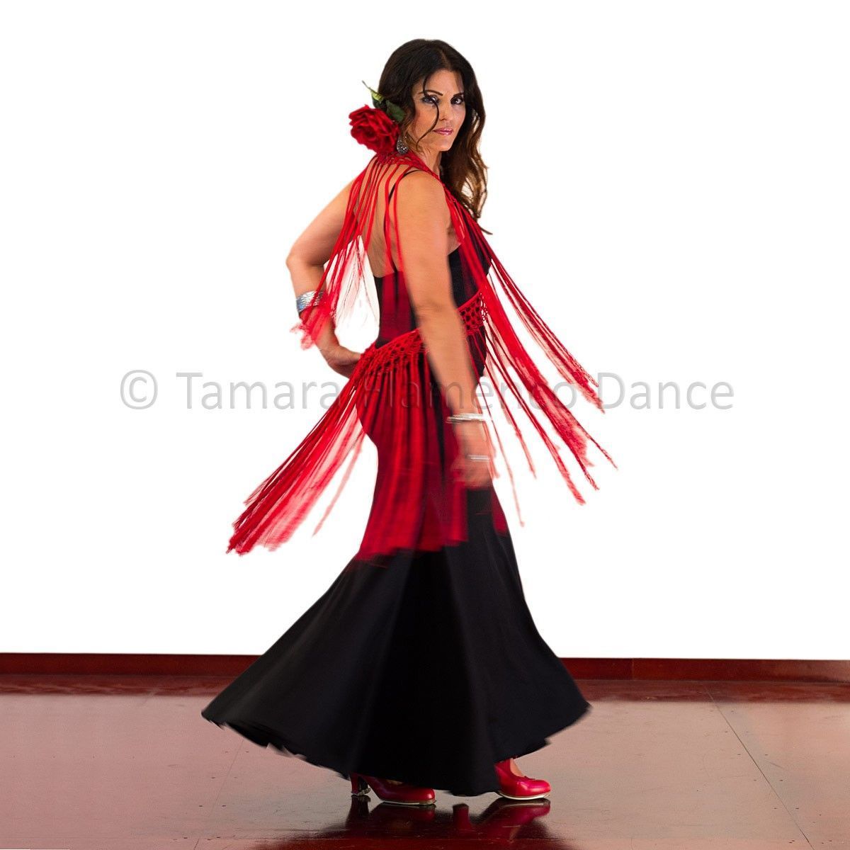 Fleco para baile TAMARA ( 2 metros)