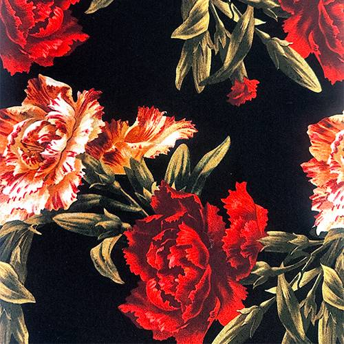 T-shirt Albores - Tricoté élastique