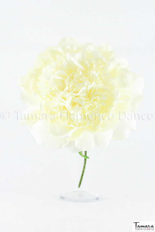 Flor Flamenca Peonía - 15 cm Marfil