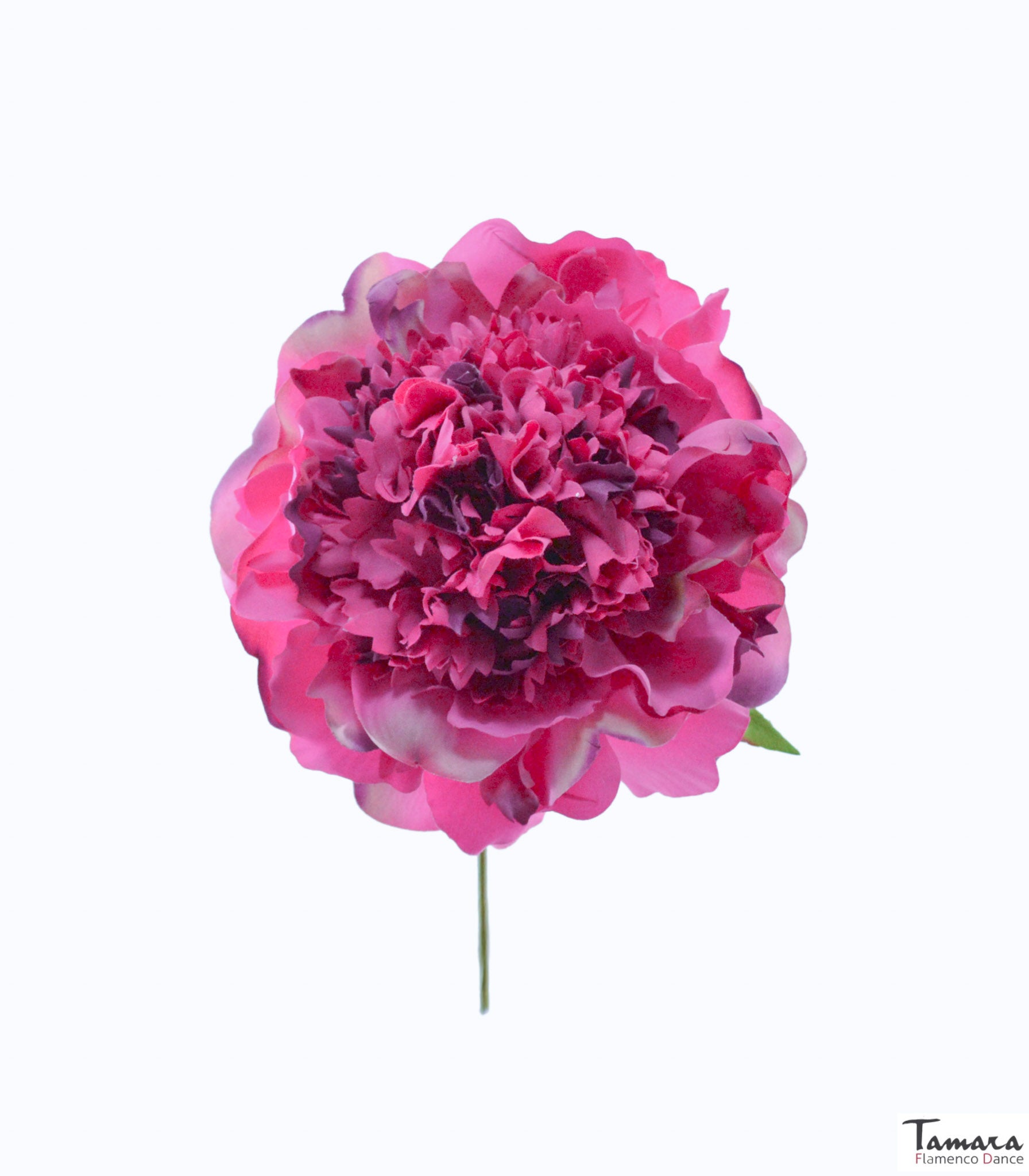 Flor Flamenca Peonía - 15 cm Fuxia