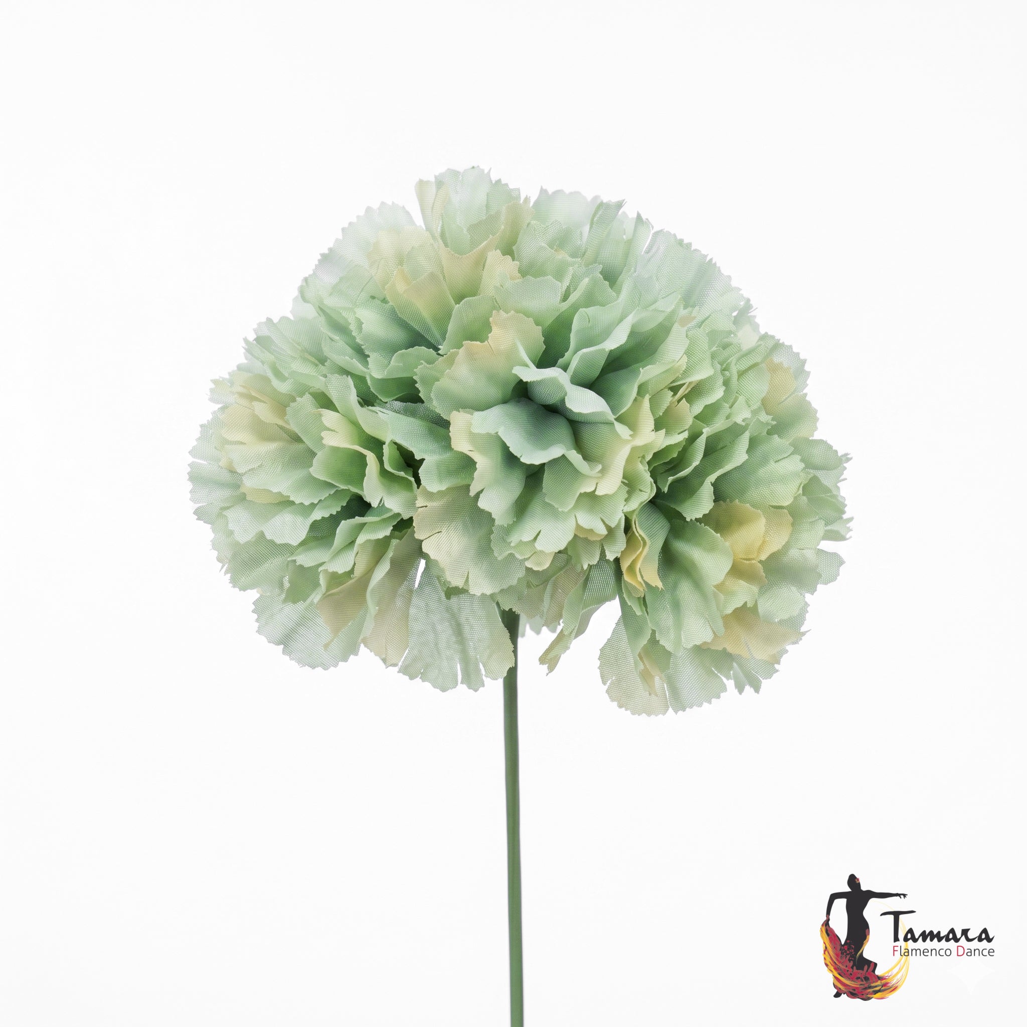 Ramillete 4 claveles Flamenca Verde agua