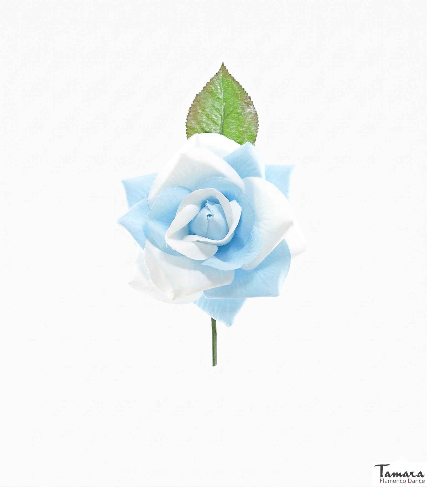 Flor Flamenca Bicolor - 10 cm Celeste