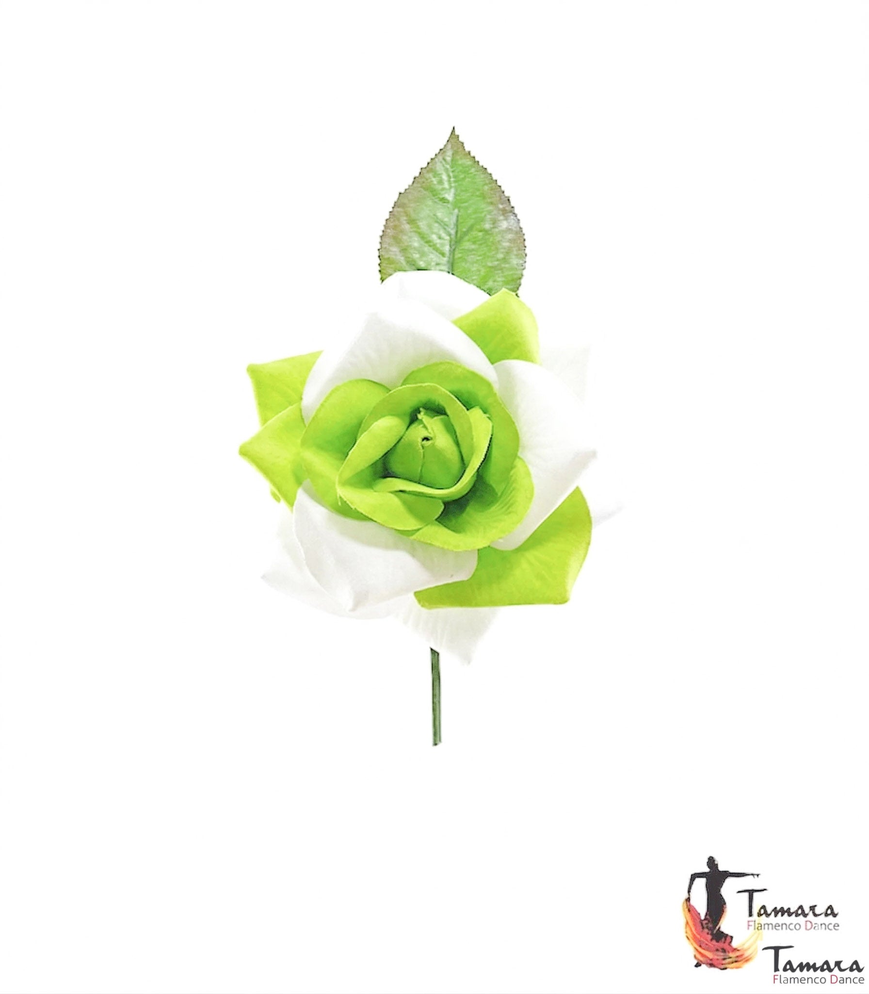 Flor Flamenca Bicolor - 10 cm Pistacho