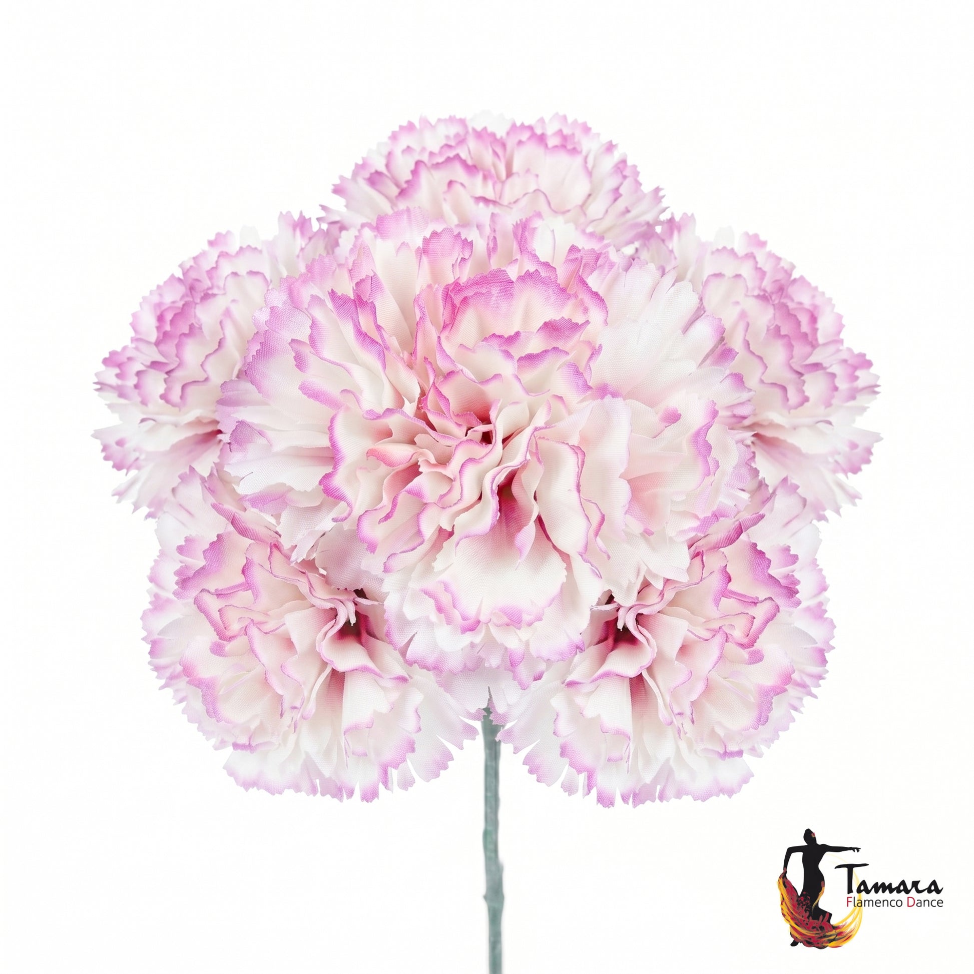 Ramillete 8 claveles Flamenca rosa-marfil