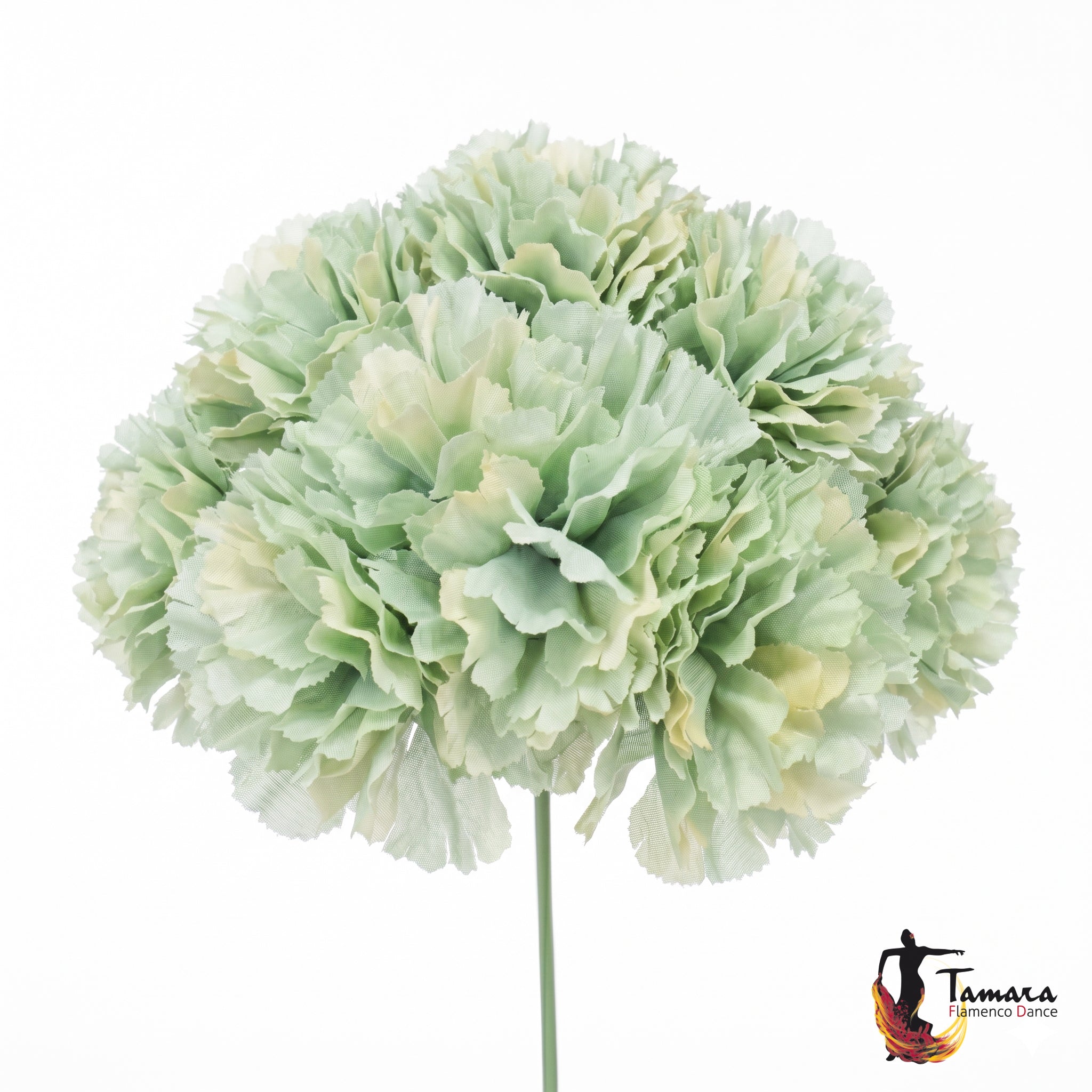 Ramillete 8 claveles Flamenca Verde agua