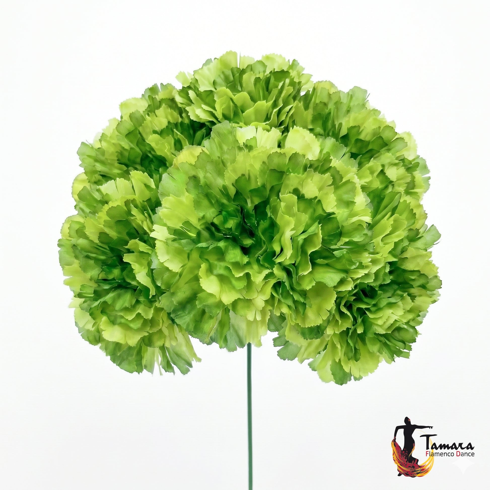 Ramillete 8 claveles Flamenca Verde