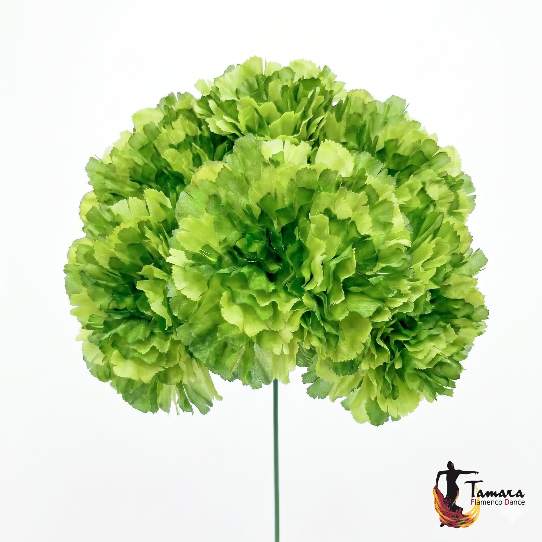 Ramillete 8 claveles Flamenca Verde